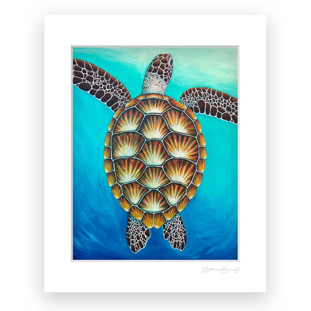 HONU GLIDE