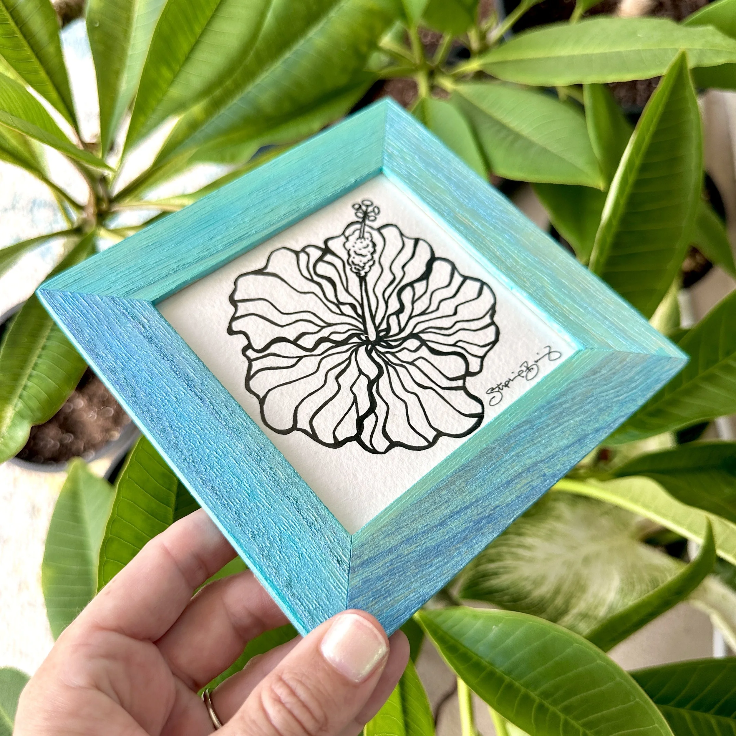 IMG_9511.jpg