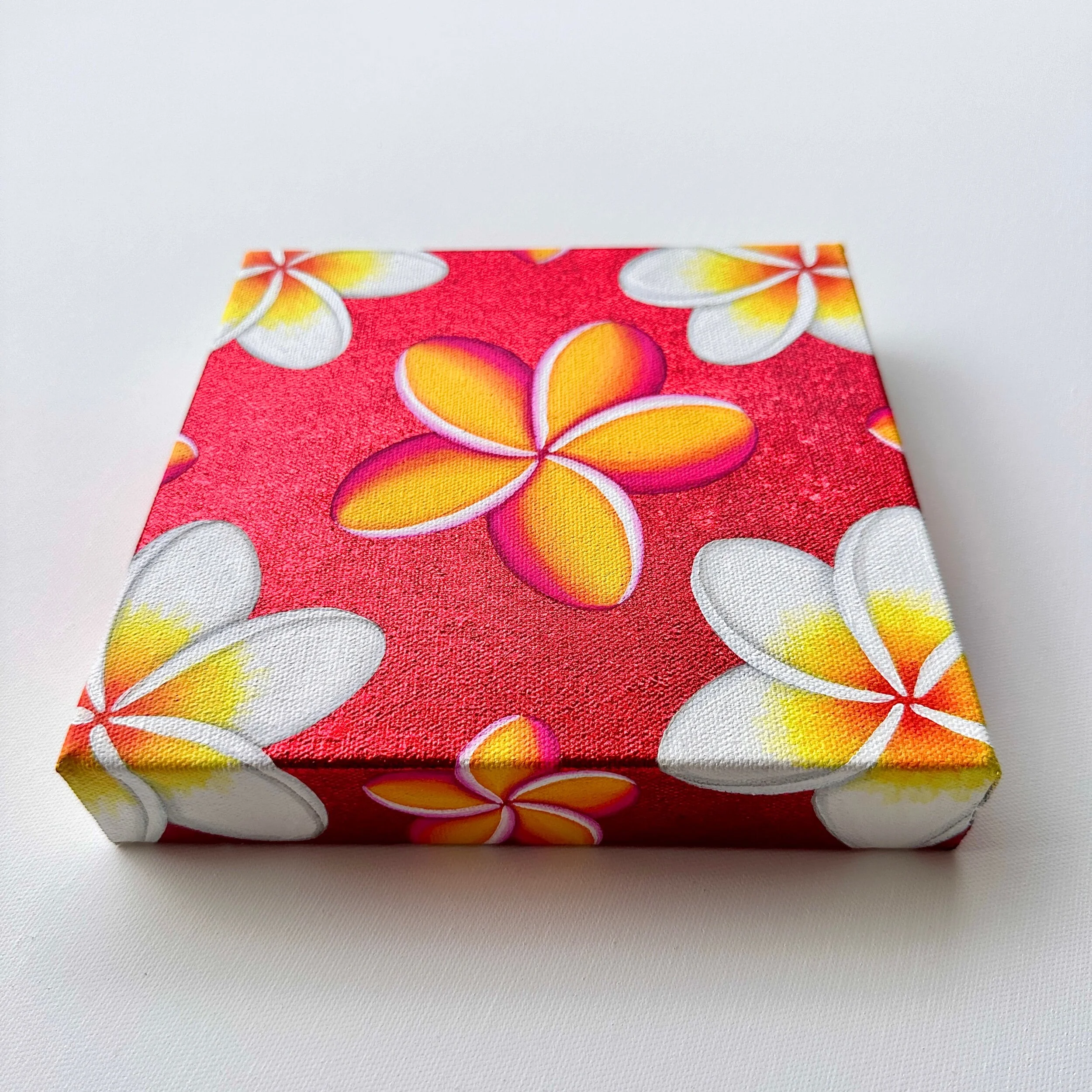 6DEC9617-A11B-4054-AB5A-6605C8A04C5B