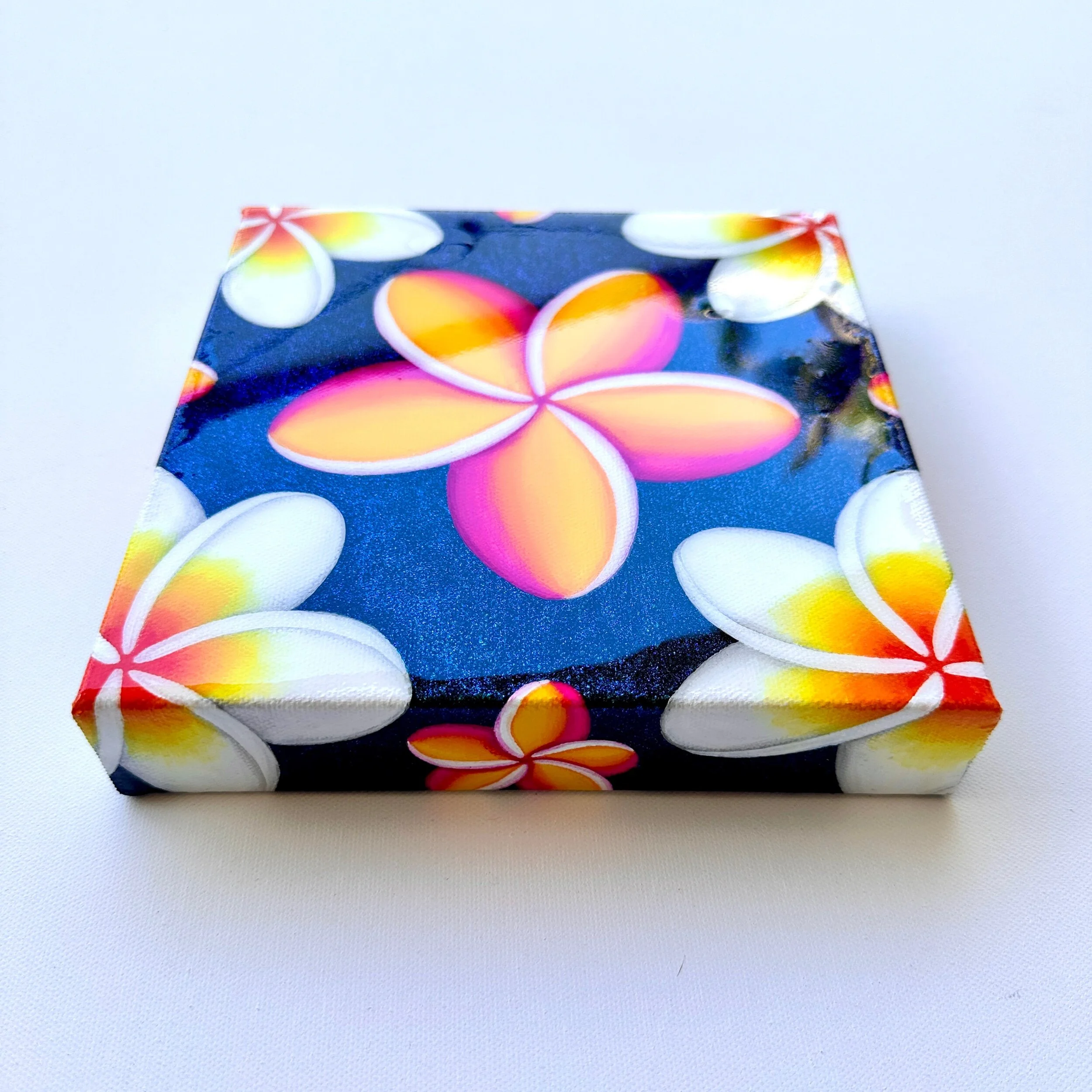 96E4B4B4-0AF1-4159-B51B-29F5271A787B