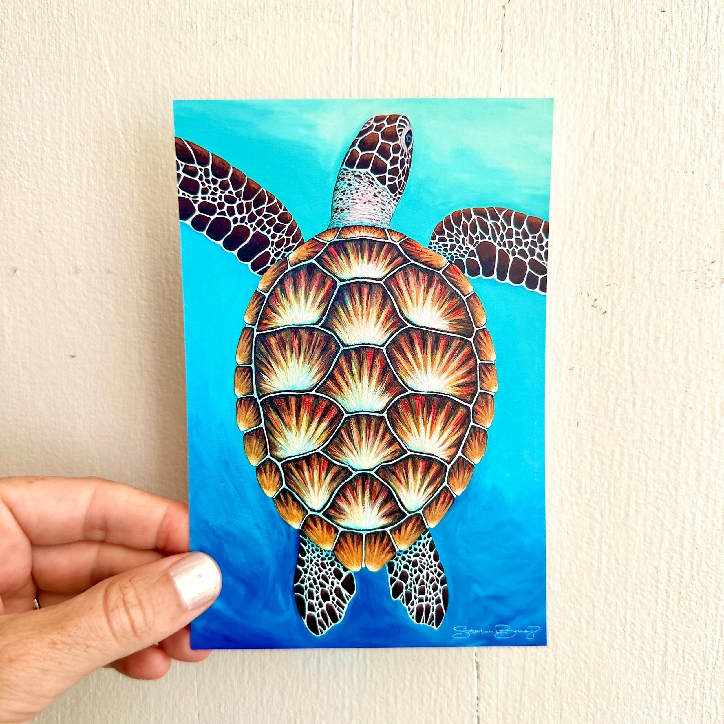 NEW! Assorted Postcards