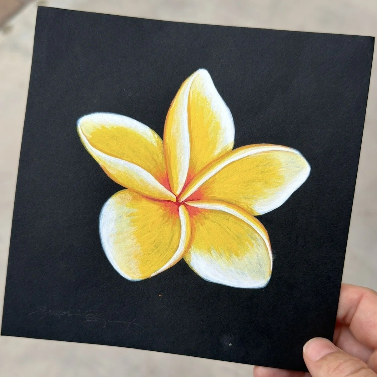 Yellow Plumeria on Black Paper
