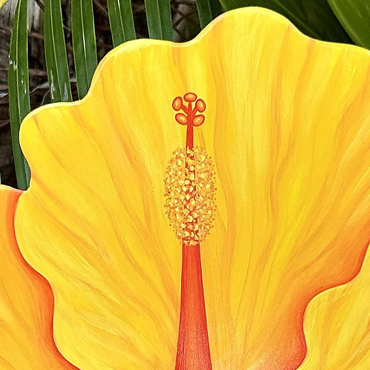 IMG_6482 cropped 2.jpg