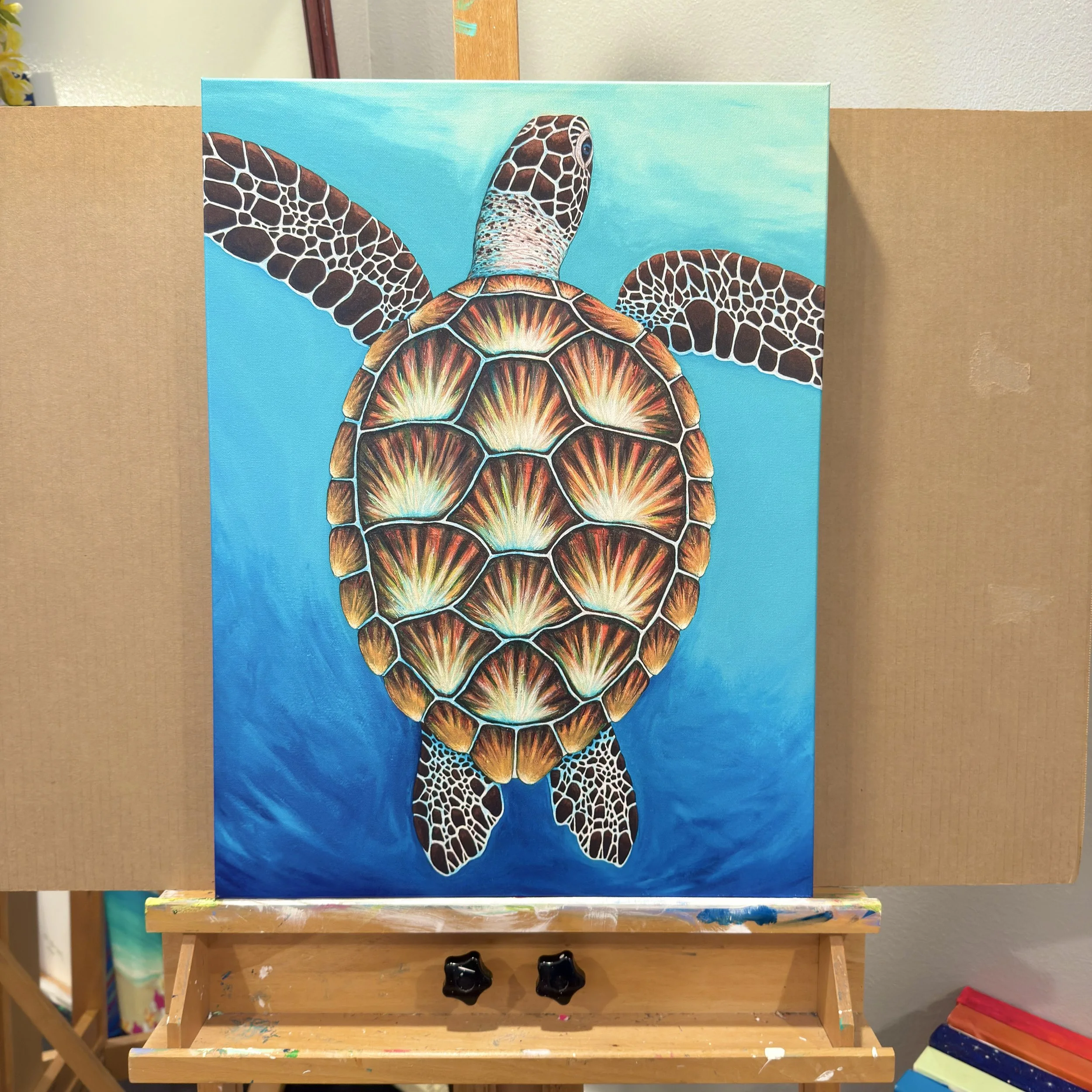 Honu Glide