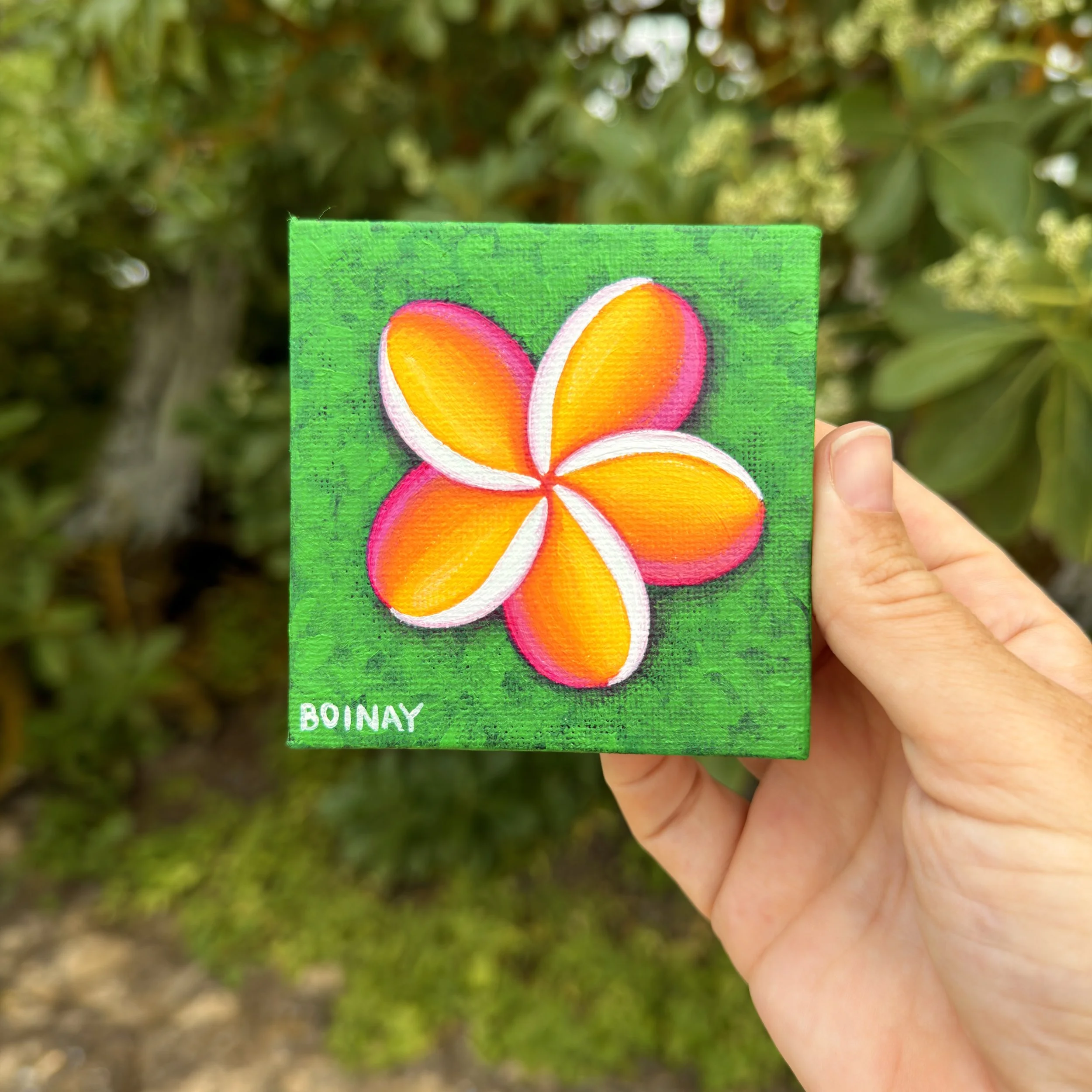 New! Mini Canvas: Green + Rainbow Plumeria