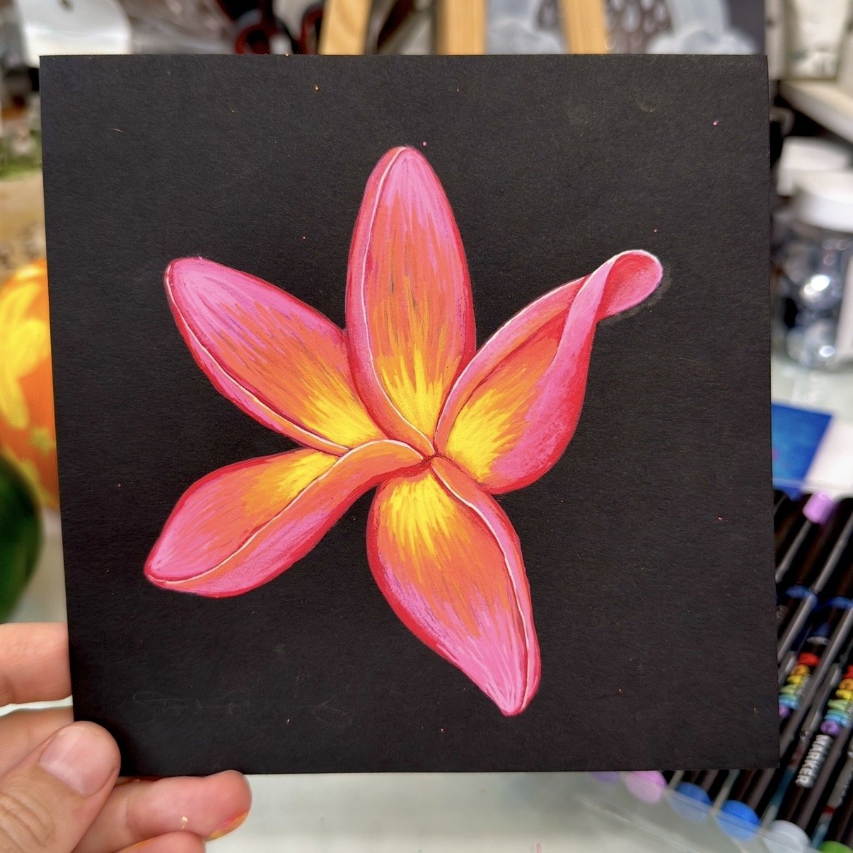Hot Pink Plumeria on Black Paper