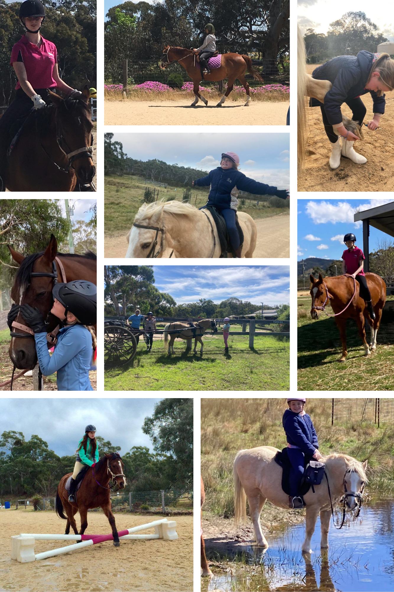 horse riding lessons, trail rides, riding day camps and short rides ...