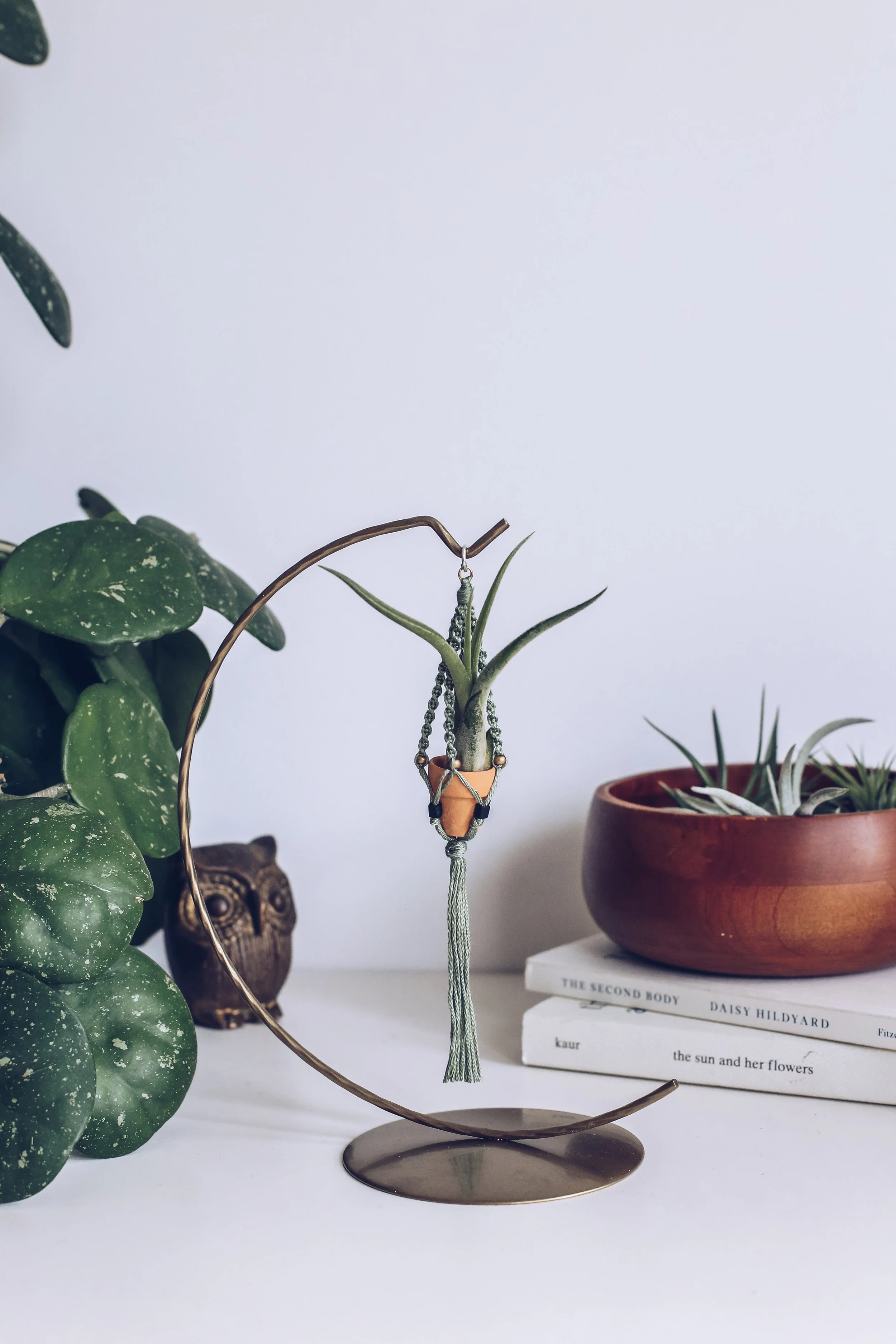 BriannaLaxsonXOhthegreenery_Spring2019-72 - Brianna Kindell.jpg