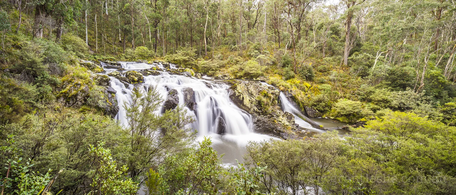 Gummi Falls, Barrington Tops