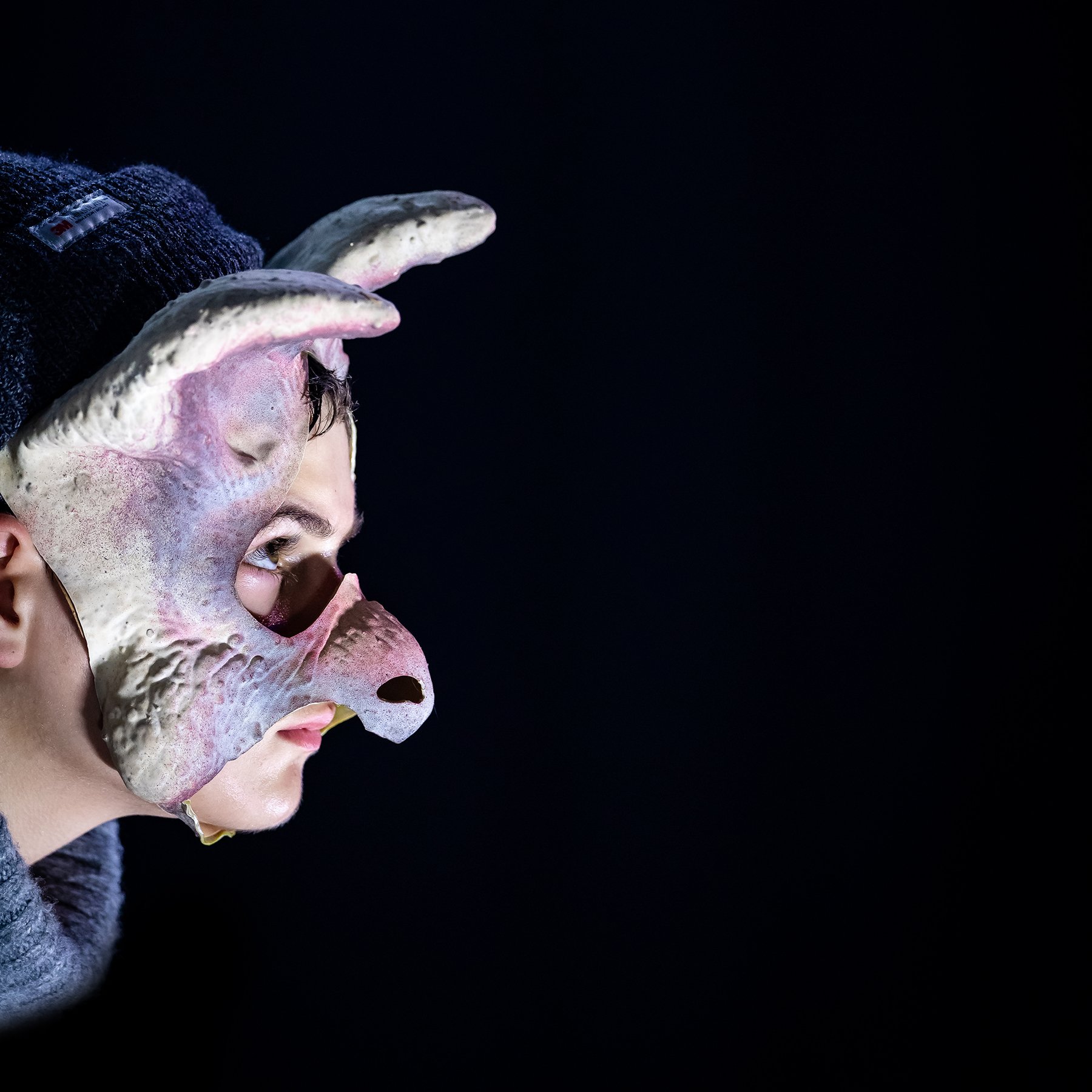 Newington College - Animal Farm - 29 April 2026