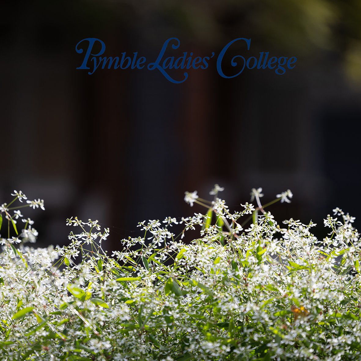 Pymble Ladies College-Music Ensembles-June 2026