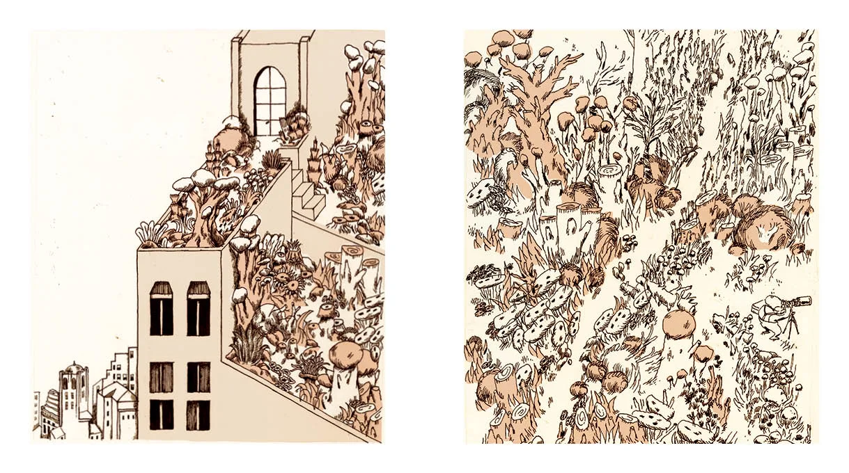 STRIP2.jpg