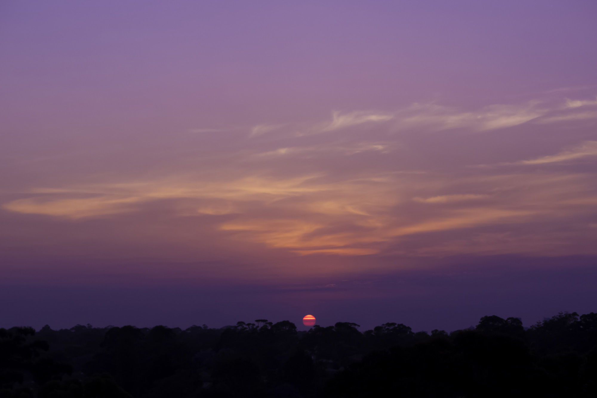  Lane Cove&nbsp; west  