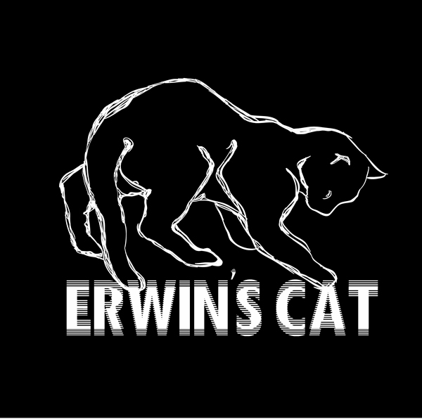 Erwin's Cat Video