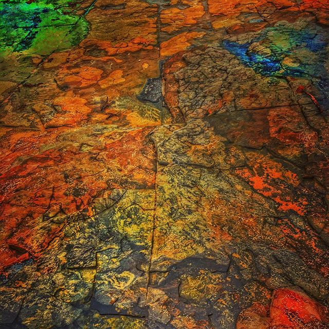 I found the psychedelic rock!
#photomanipulation #iphonephotooftheday #iwanttobeinvaded #instagood #nature #beach #rock #colour #snapseed #ErwinsCat #roadtrip #trip #travel #Australia #nsw #art #halosin #psychedelic #psychedelicart