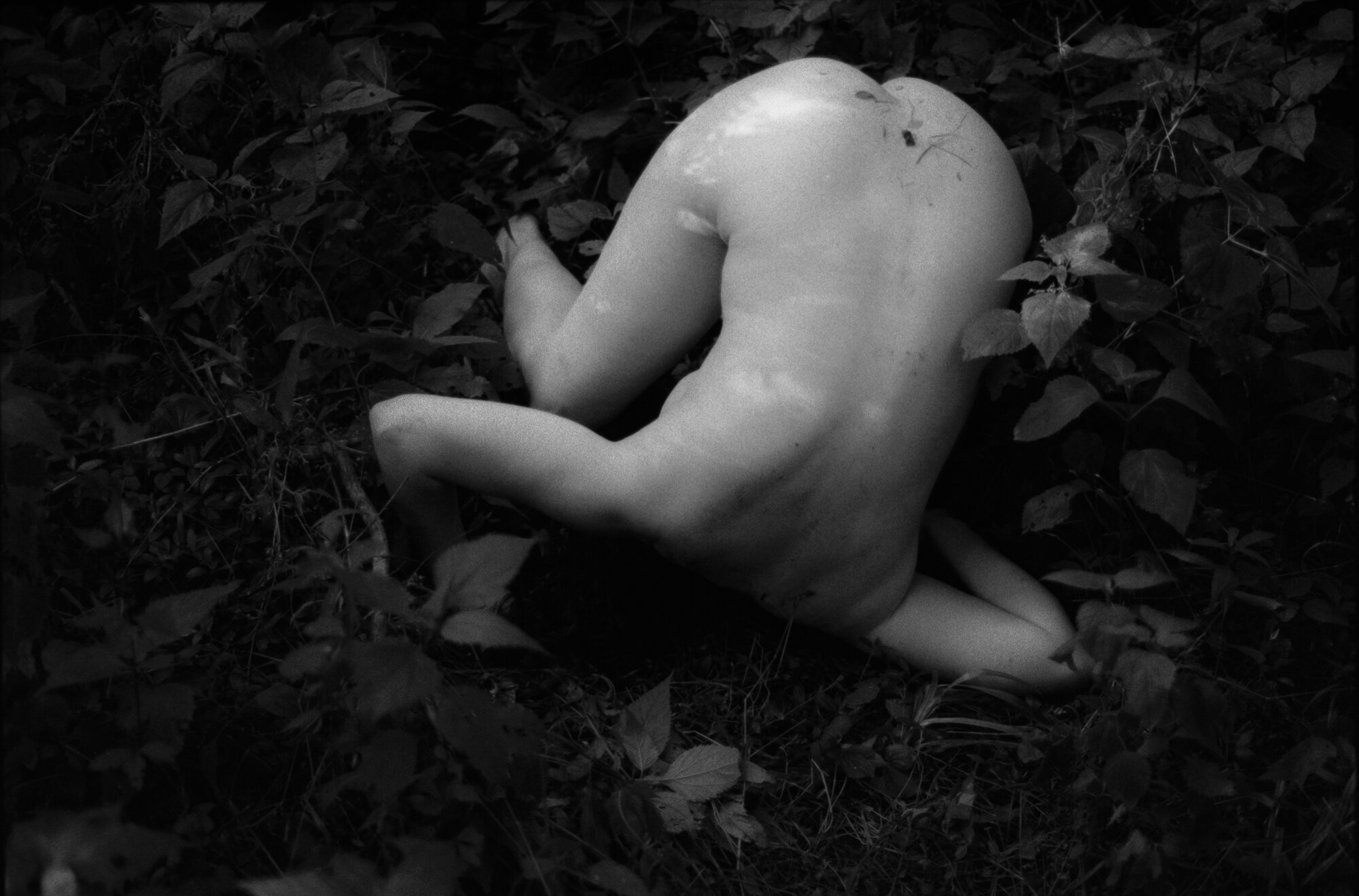 In the Weeds
