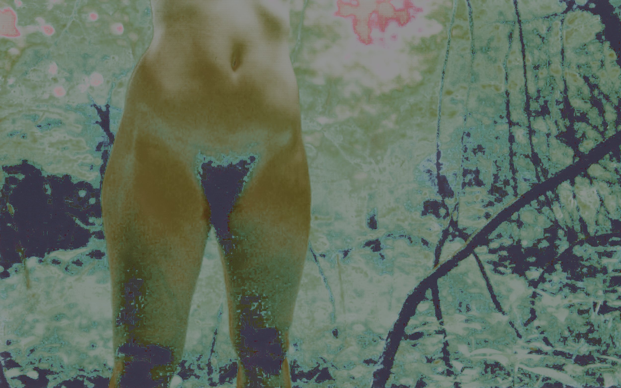 Hips in the Woods