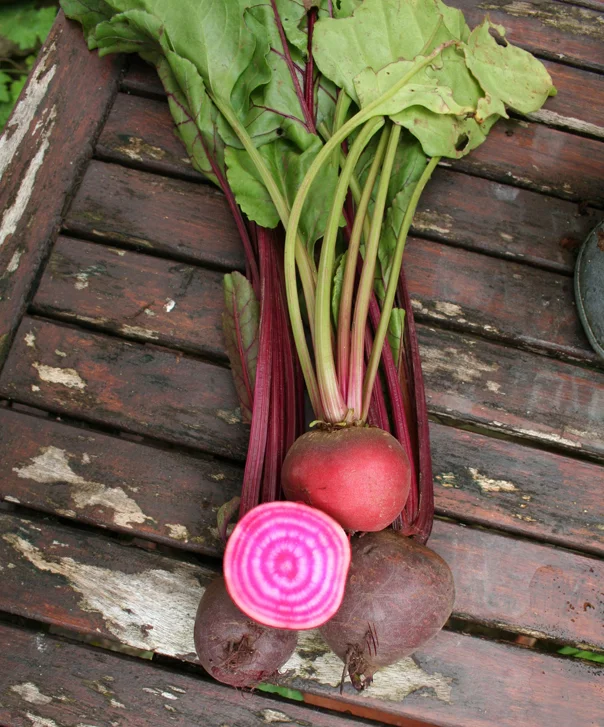 Two Thirsty Gardeners: what to do with your surplus beetroot...