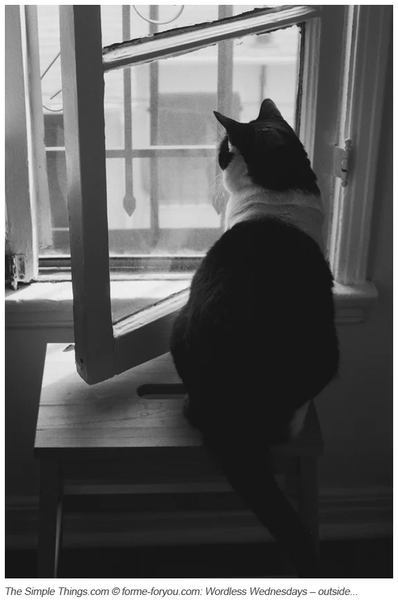 Wordless Wednesdays: Outside...