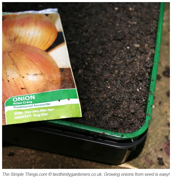 Two Thirsty Gardeners: On your marks, get set… sow!