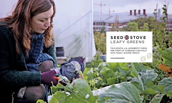 Cabbage never tasted this good