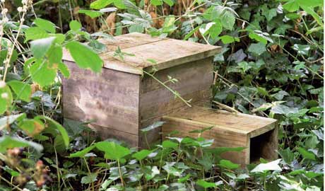 A finished hedgehog box