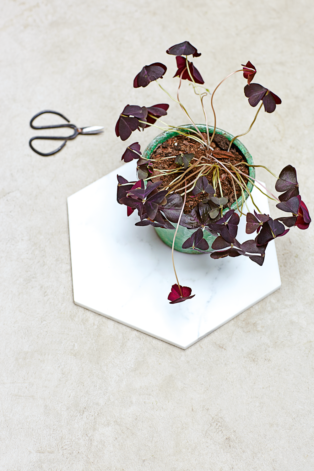 Blog The Simple Things