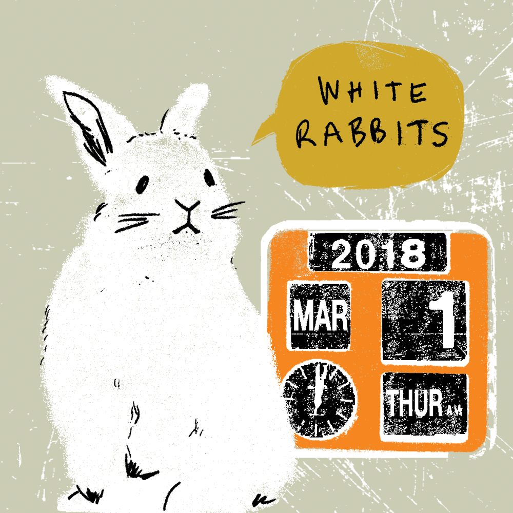 White Rabbit Alert Stories behind superstitions | White Rabbits | The Simple Things