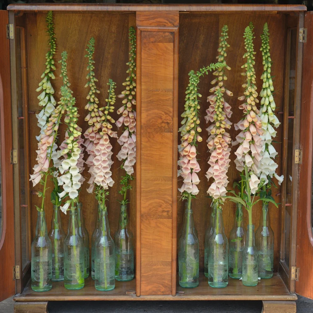 Gardening Blog The Simple Things