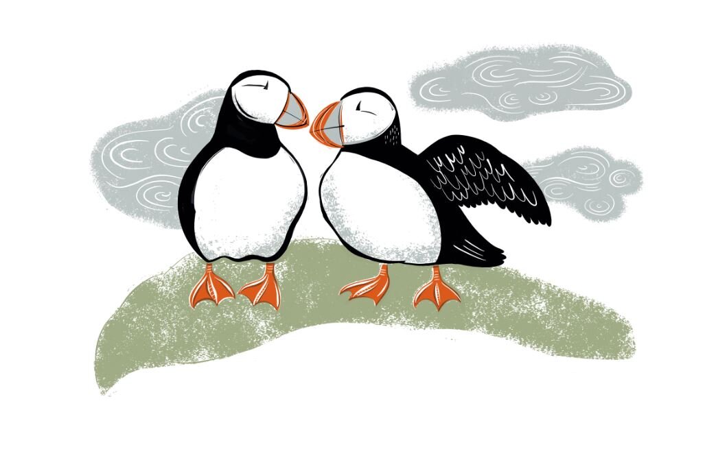 Puffins and puffineers | The Simple Things