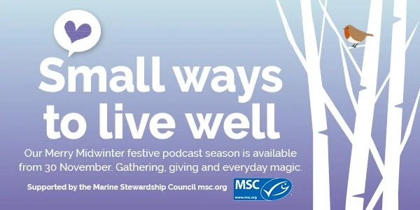 NEW TST Podcast banner_winter.jpg