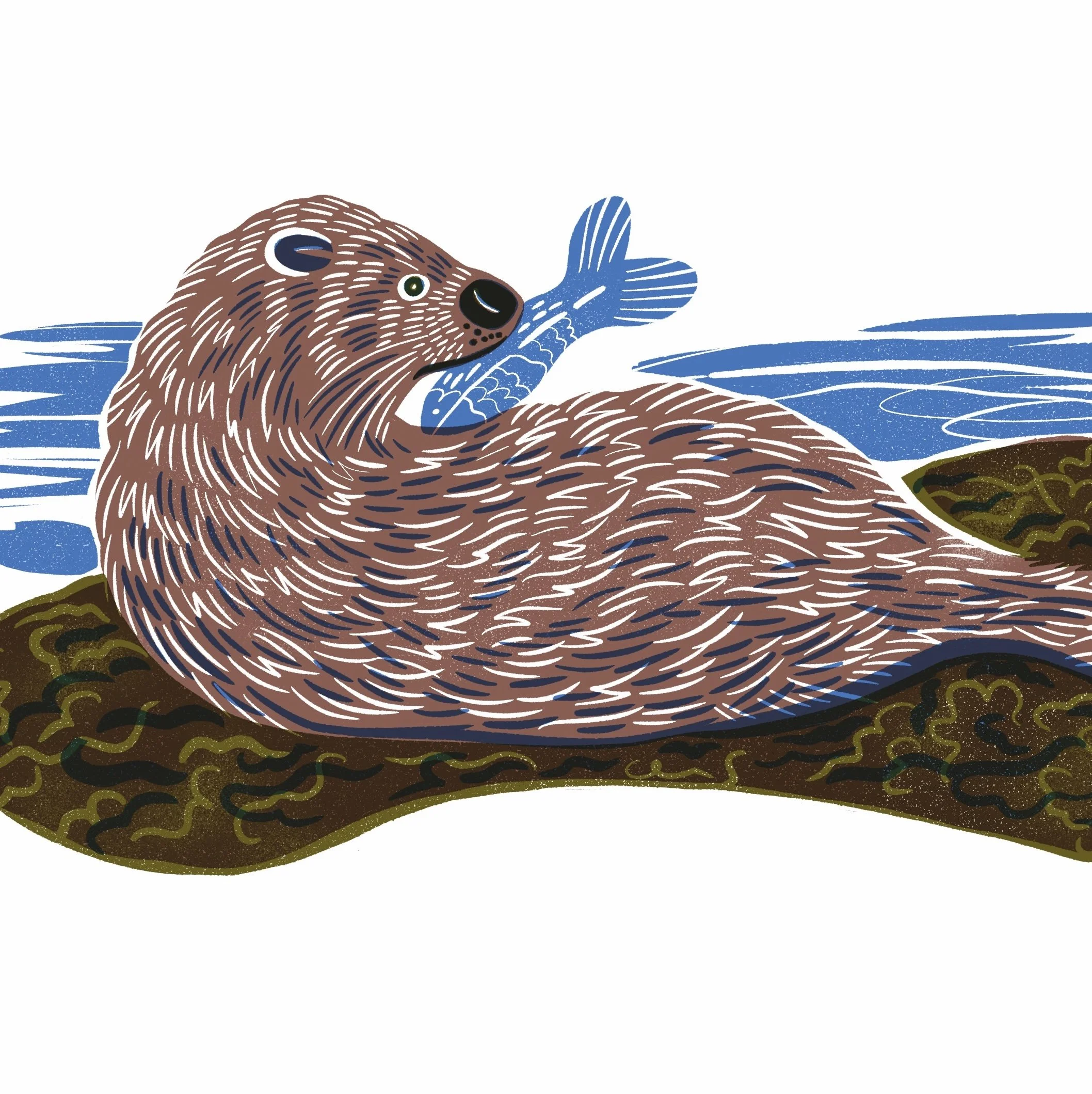 Otter.jpeg