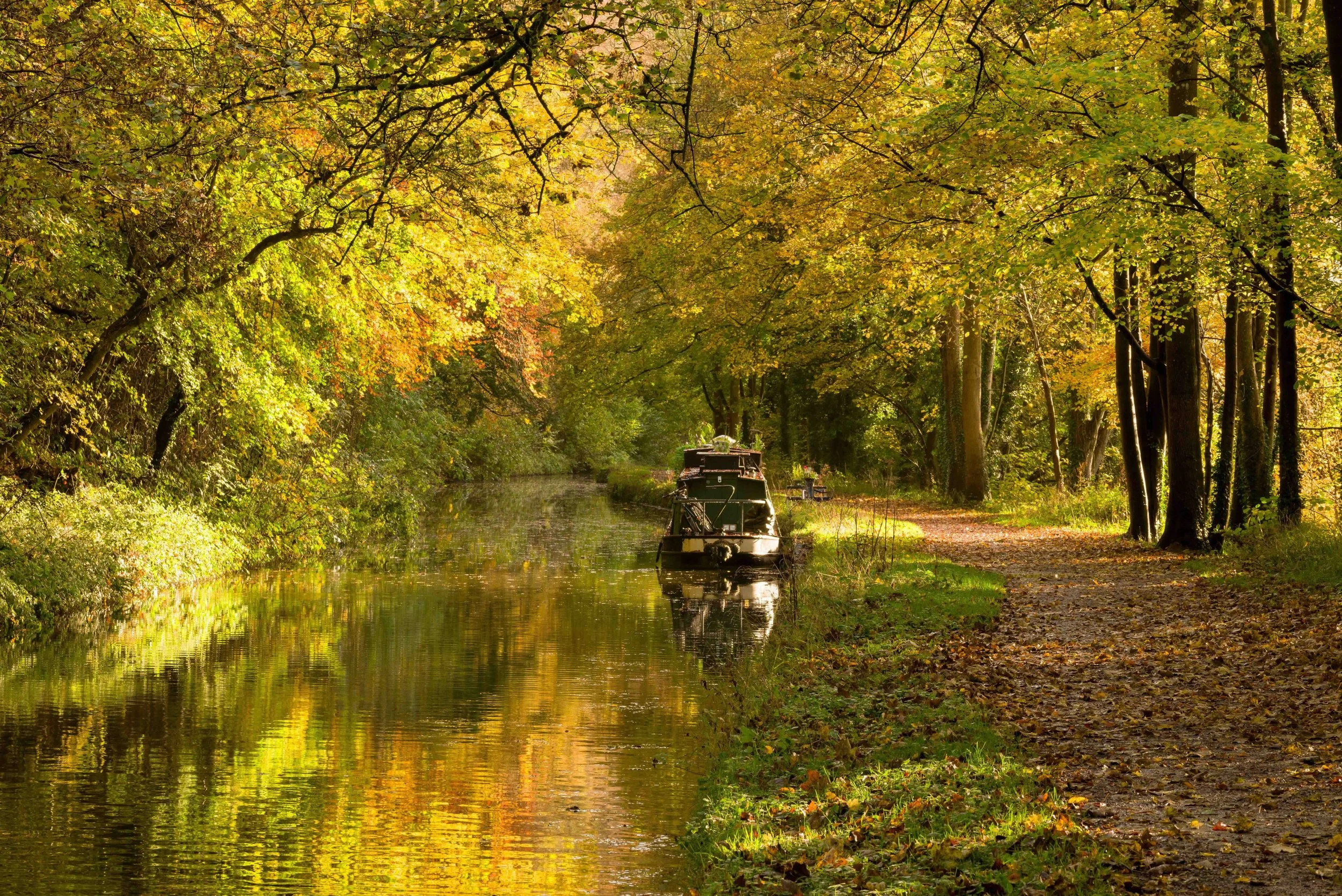 Outing Alamy.jpeg