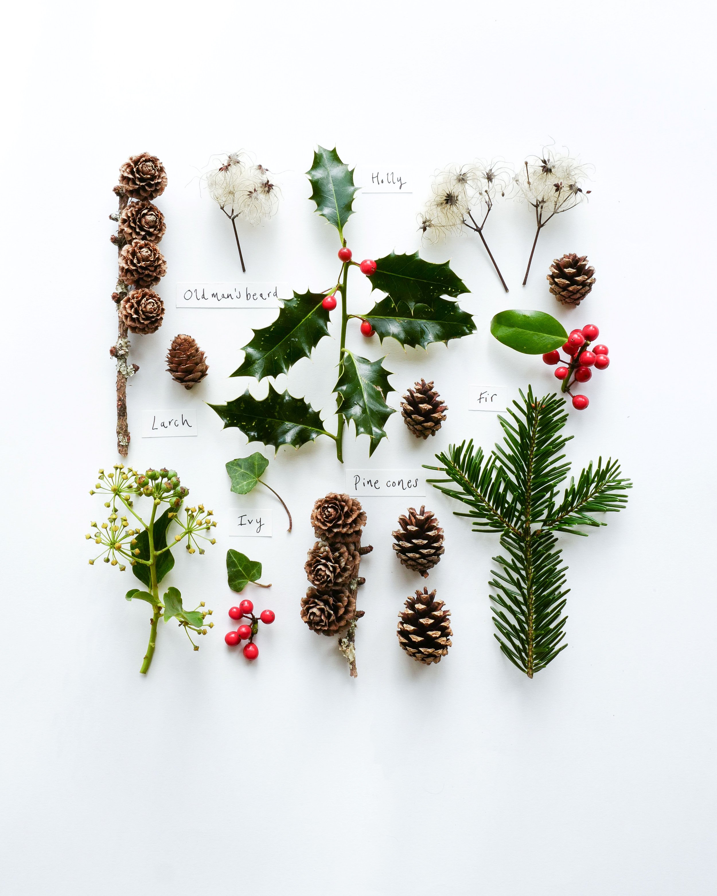 December | Things to Appreciate | The Simple Things