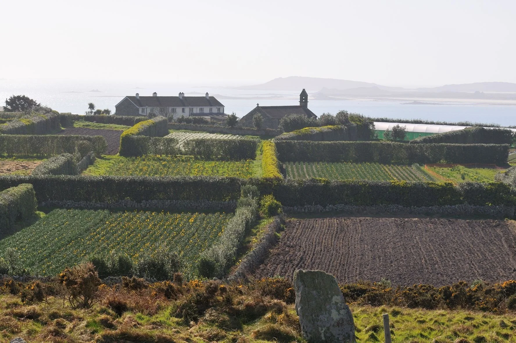 Competition Win flowers for a year The Simple Things