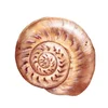 Nature studies | How spiral shells are made | The Simple Things