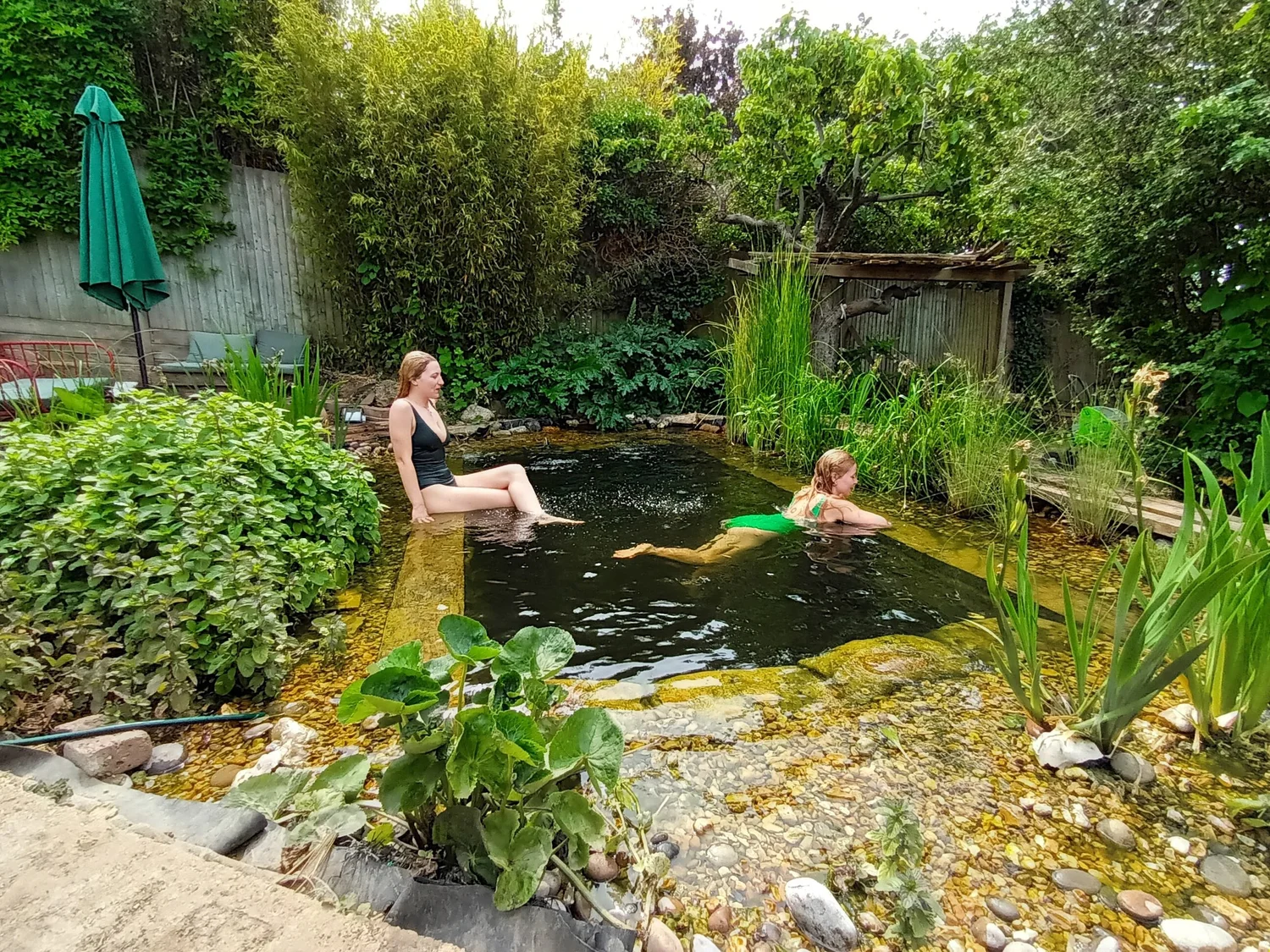 How to Build a Backyard Pond: Easy Steps for a Stunning Oasis