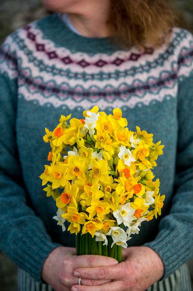 Scilly Flowers 2.jpeg