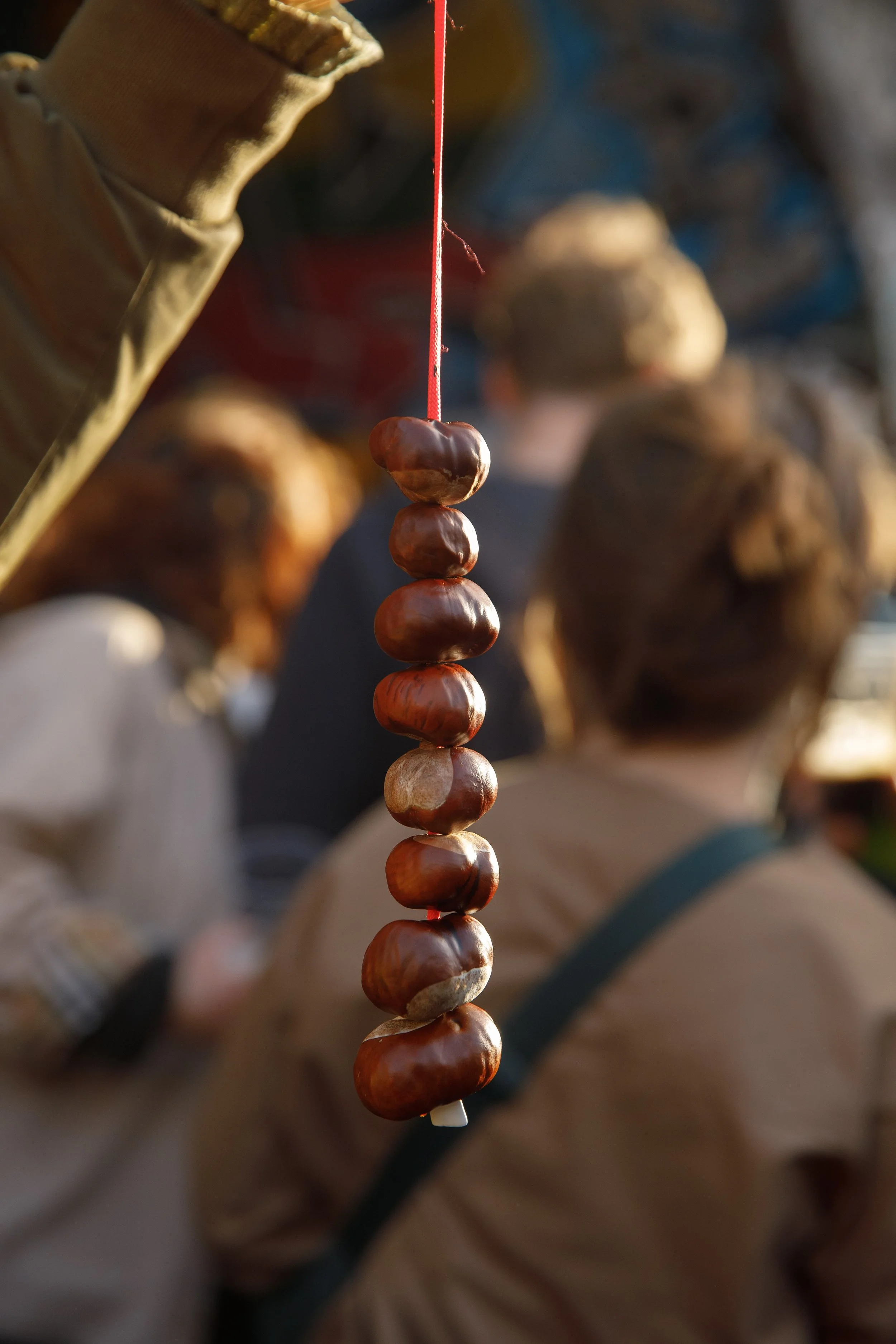 Conkers.jpeg