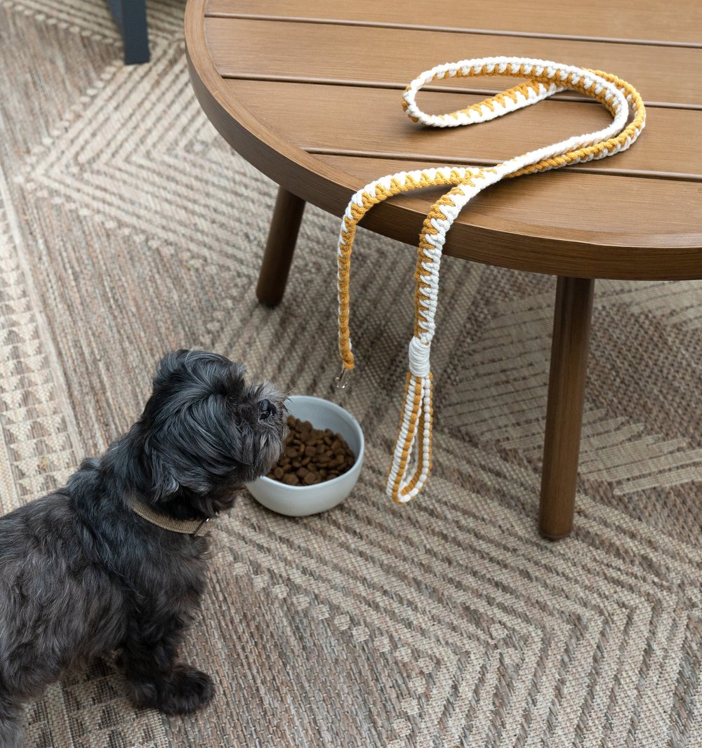 How to Make a Dog Leash With Rope: DIY Guide