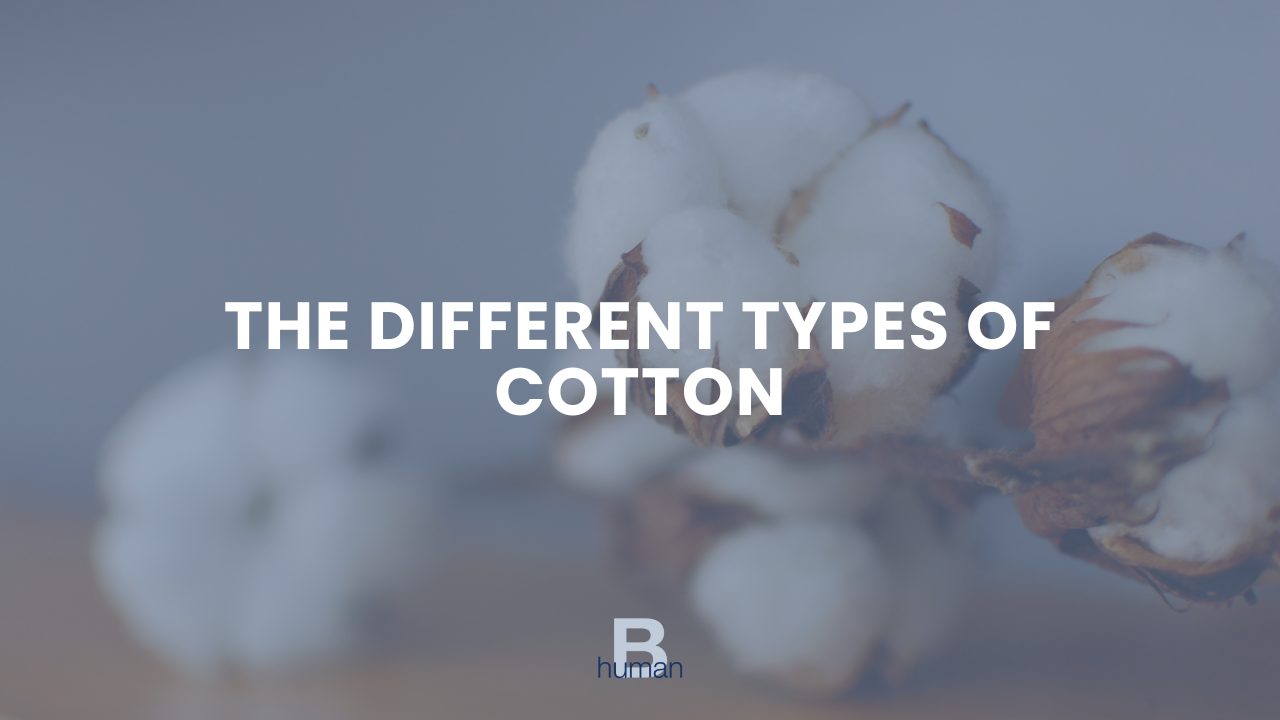 The Different Types of Cotton