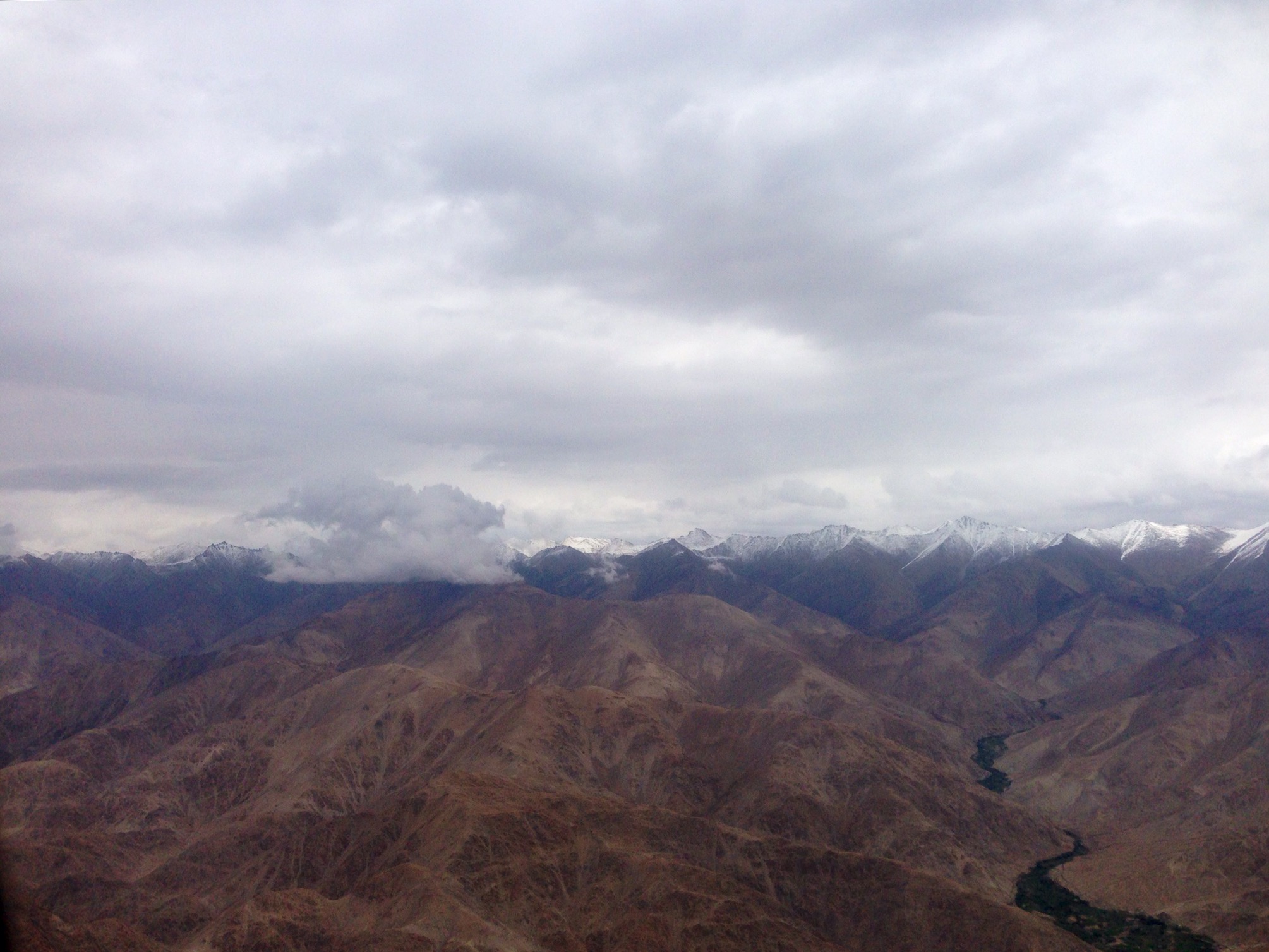 IMG_2865.JPG