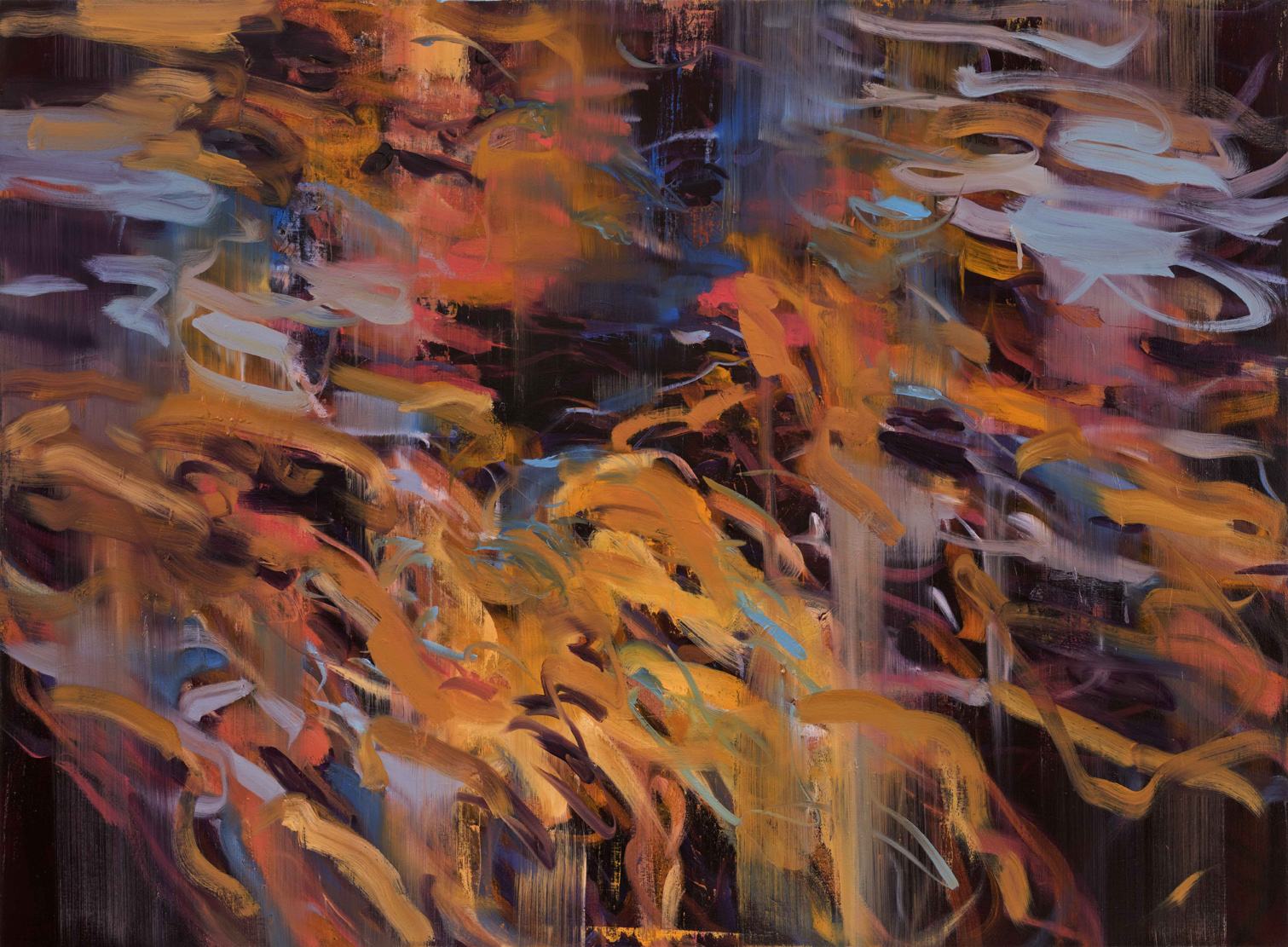  Untitled no 2 (dark ground)  2015  oil on canvas  146 x 199 cm 
