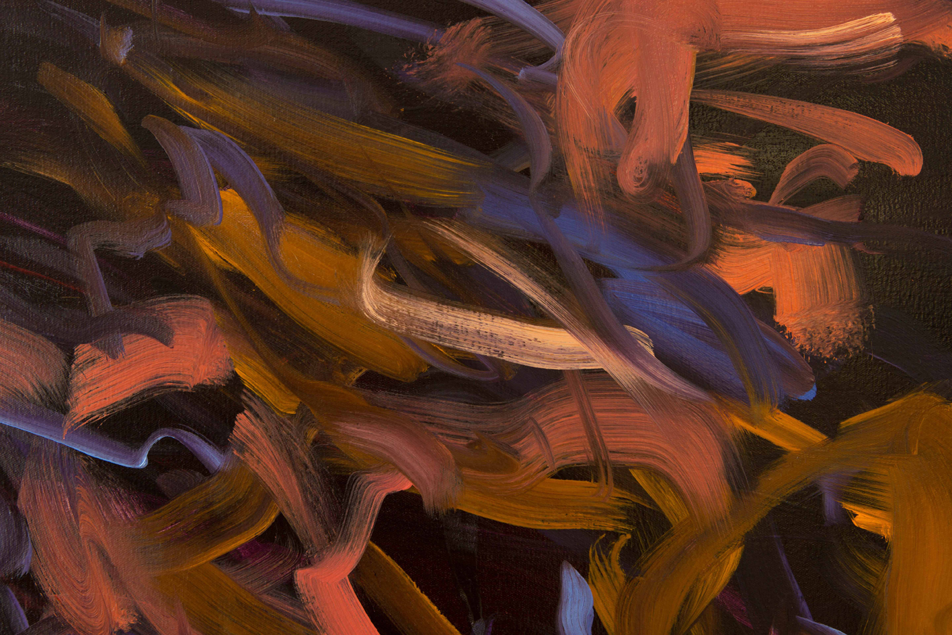  Untitled no 1  (dark ground)  detail  2015  oil on canvas  146 x 186 cm 