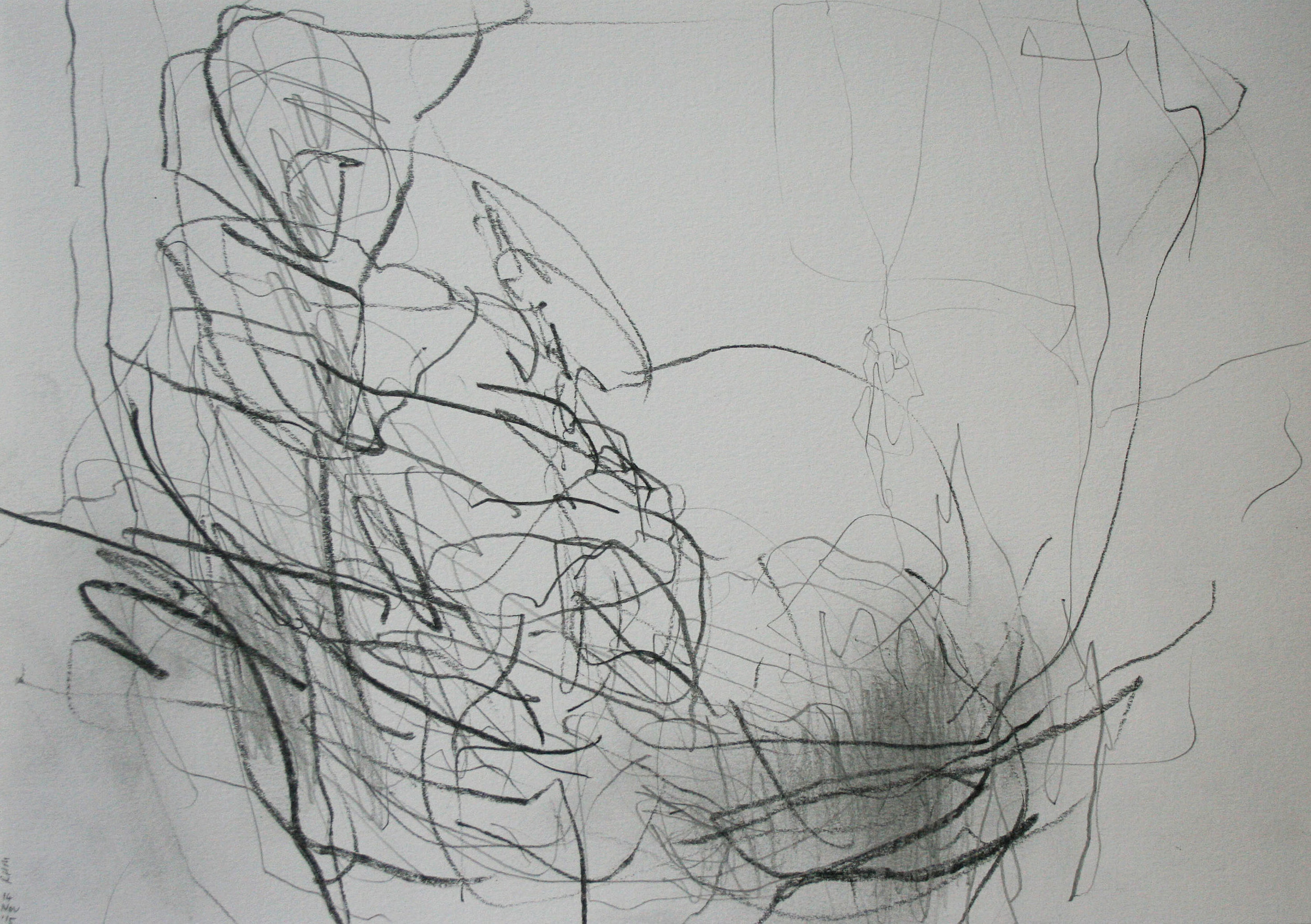 Left hand Drawing IV November 2015 graphite on paper 21 x 30 cm
