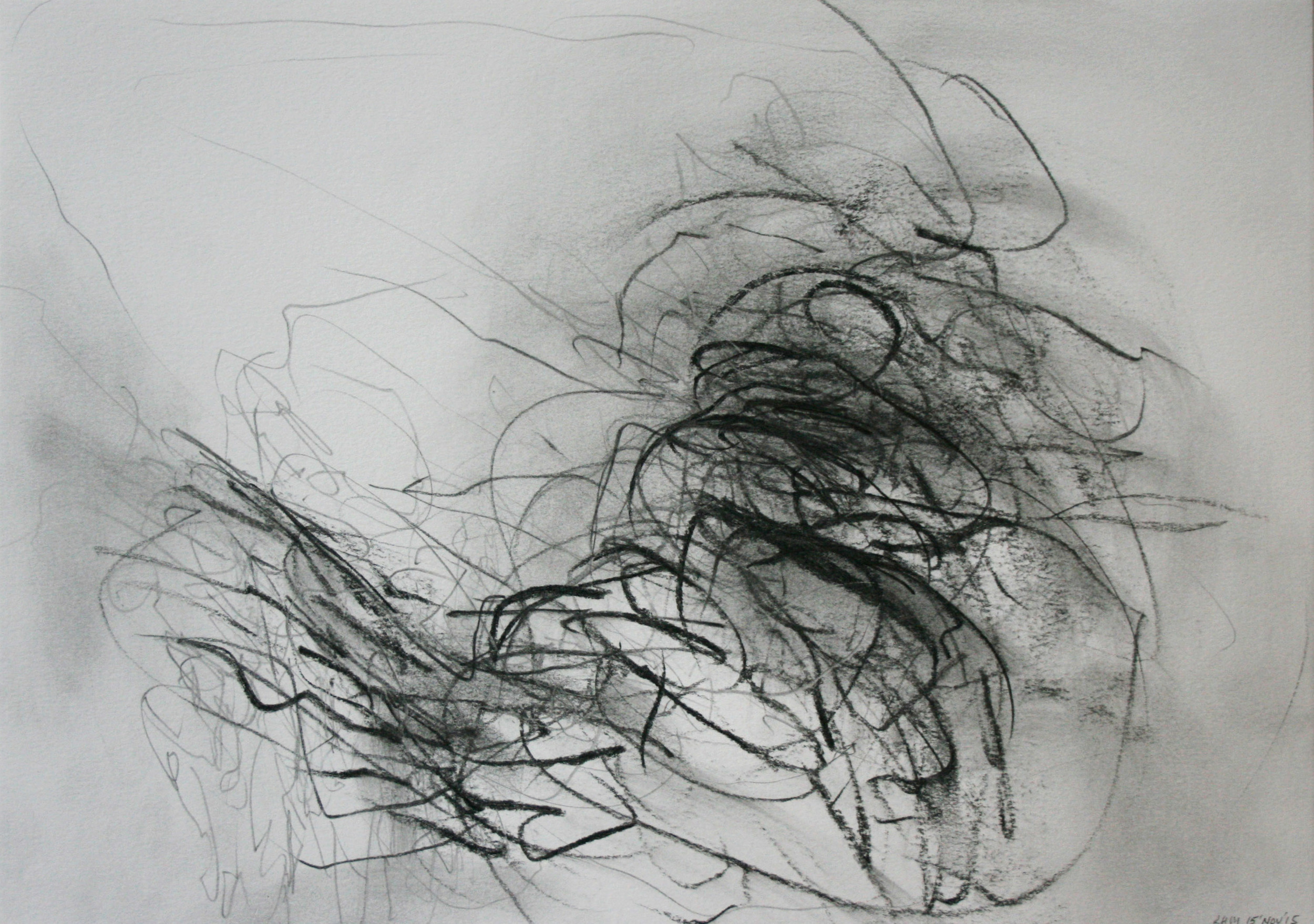  Left hand Drawing V  November  2015  graphite on paper  21 x 30 cm 