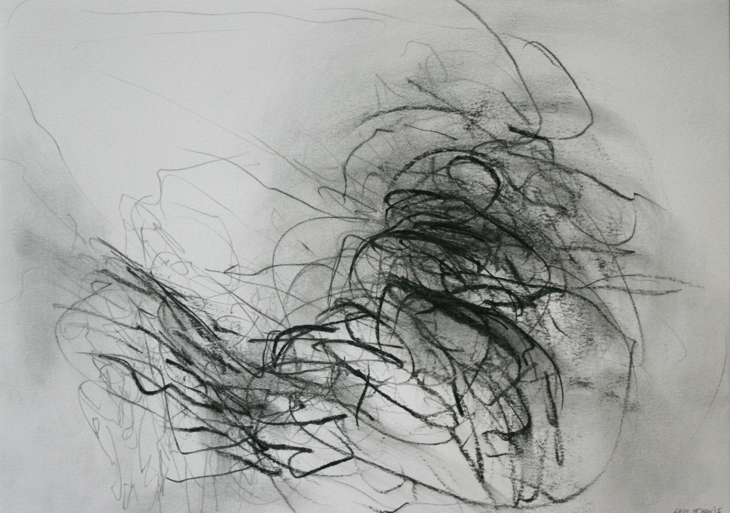 Left hand Drawing V November 2015 graphite on paper 21 x 30 cm