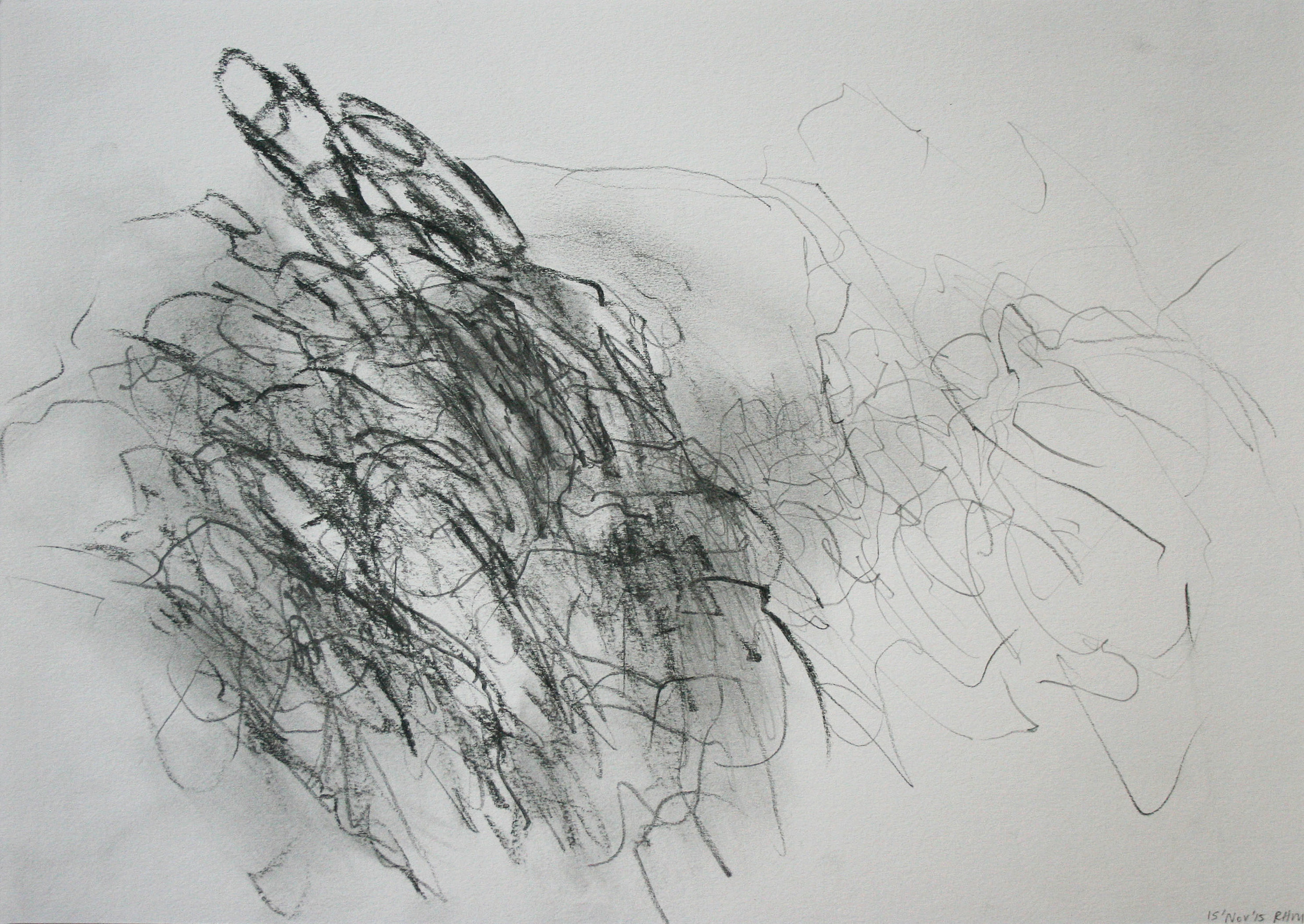  Left hand Drawing VI  November  2015  graphite on paper  21 x 30 cm 