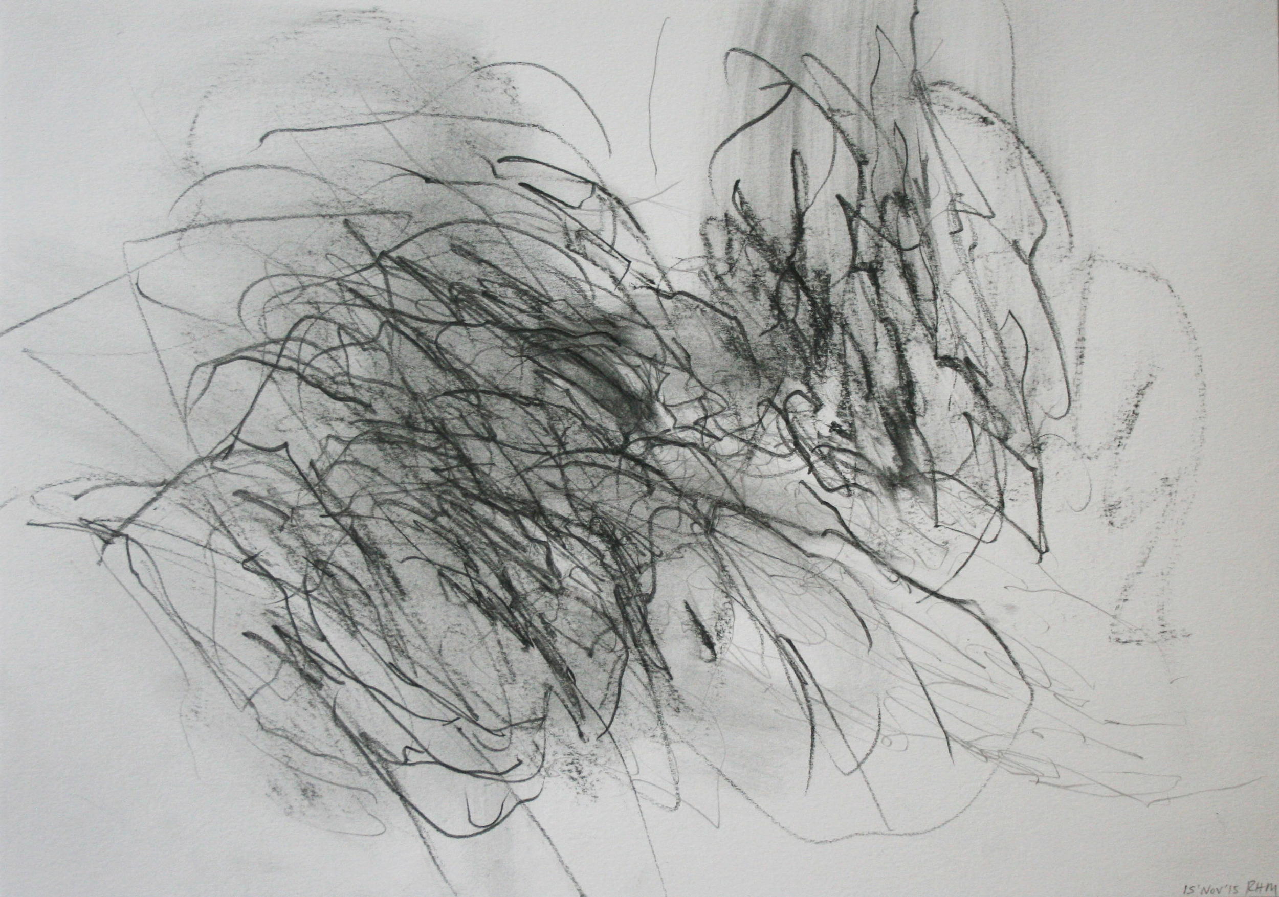 Left hand Drawing VII  November  2015  graphite on paper  21 x 30 cm 