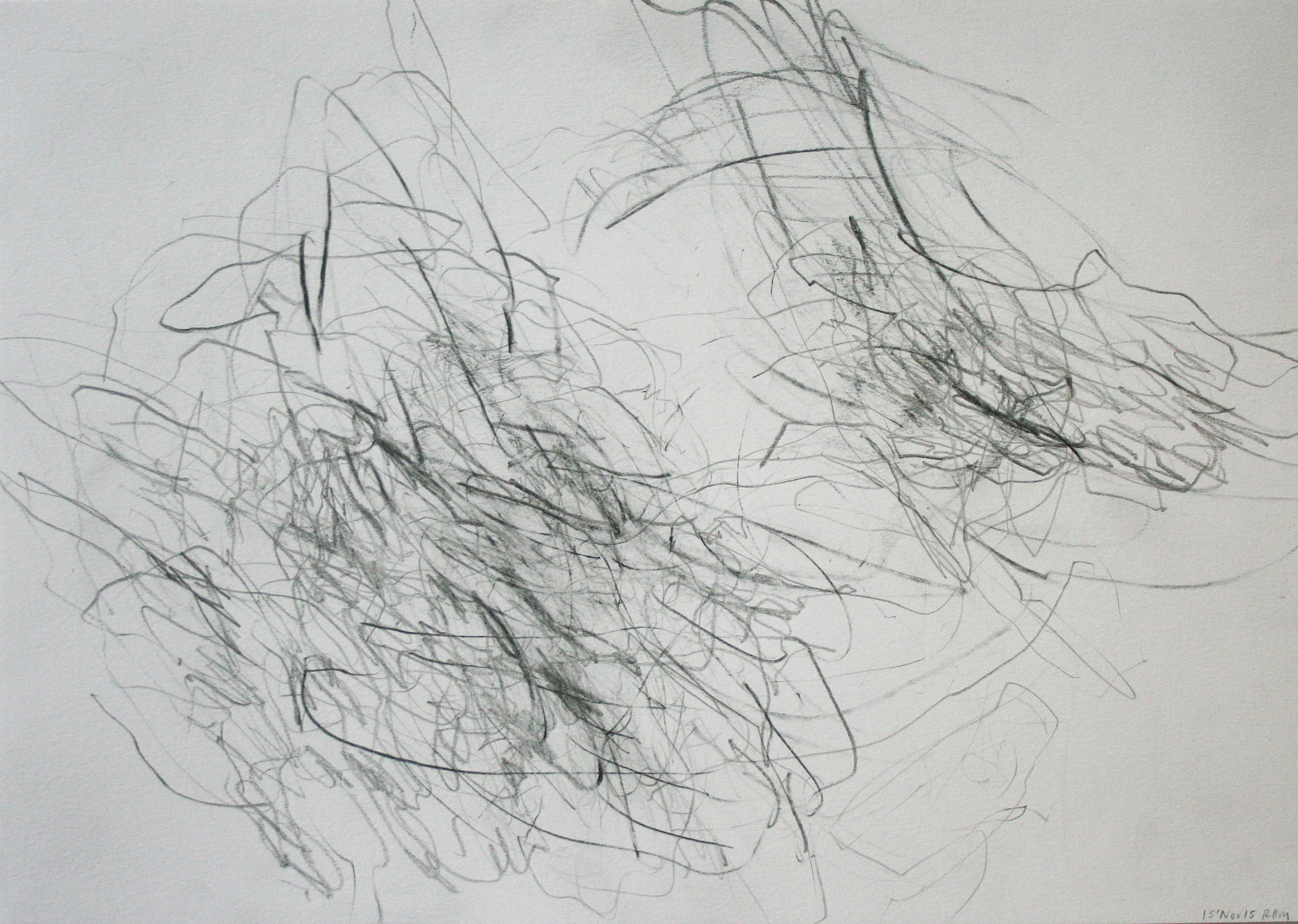  Left hand Drawing IX  November  2015  graphite on paper  21 x 30 cm 